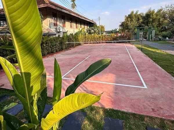 Pickleball badminton court Ferment Space Chiang Mai