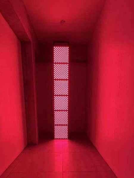 Red light therapy room Ferment Space Chiang Mai