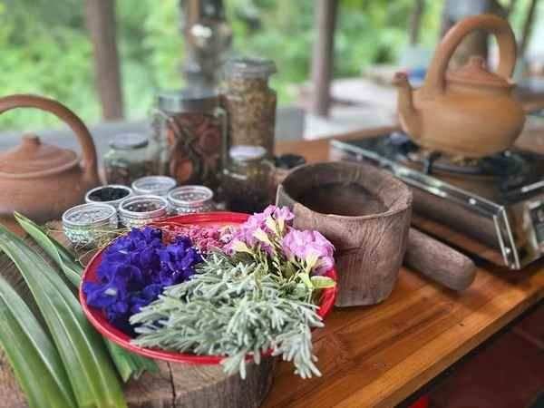 Tea Workshop Ferment Space Chiang Mai